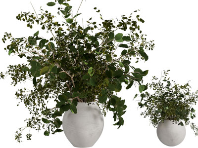 现代白色陶瓷花瓶花卉