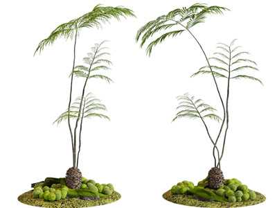 现代景观花草植物、园艺小品