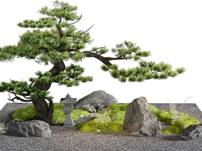 新中式松树 石头 地灯景观园艺小品