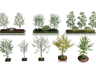现代花坛花草树木景观园艺小品