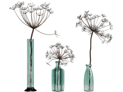 现代创意绿色玻璃花瓶花卉