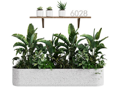 现代花坛花草植物盆景盆栽