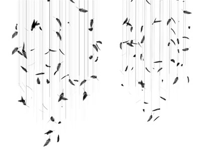 现代装饰羽毛的吊灯