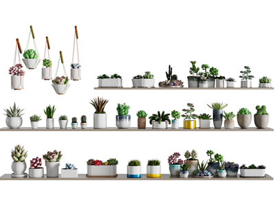 现代多肉植物花盆盆栽植物摆件