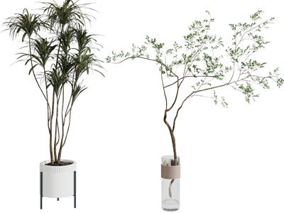 现代花盆盆栽植物 花瓶花卉