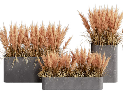 现代花坛芦苇花盆栽植物景观园艺小品