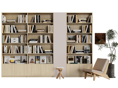 现代实木书柜、单人沙发