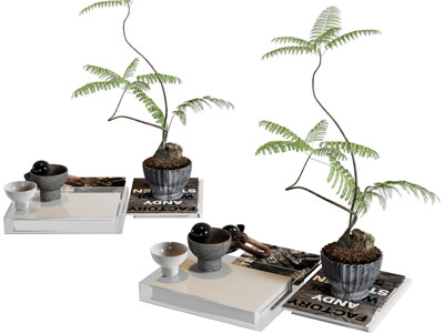 现代书本 盆栽植物摆件组合