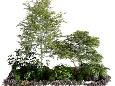 现代花草绿植、树木景观园艺小品