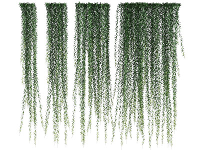 现代藤蔓、植物墙、吊篮绿植