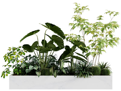 现代户外花坛花草植物景观园艺小品