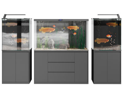 现代部收纳柜的鱼缸