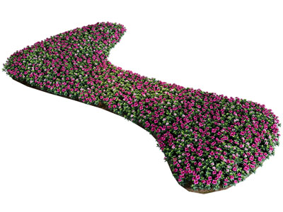 现代花卉花池花坛景观园艺小品