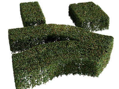 现代造景观园艺灌木丛植物