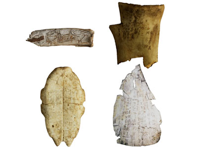 中式甲骨文 化石