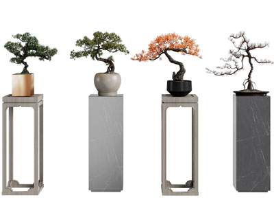 新中式松树盆景盆栽