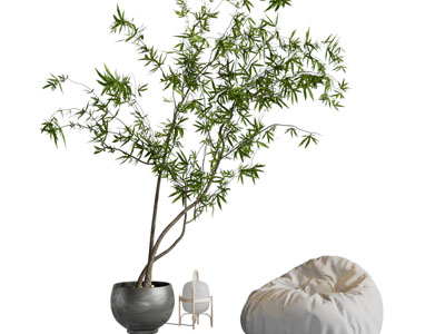 现代懒人沙发 花盆盆栽植物