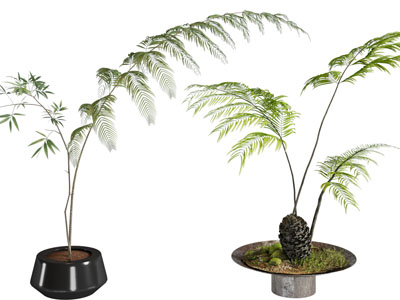 新中式花盆盆景盆栽植物