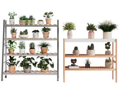 现代花盆绿植盆栽植物