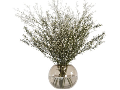 现代玻璃花瓶花卉