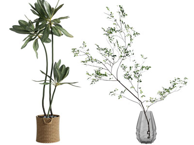 现代藤编花盆盆栽植物