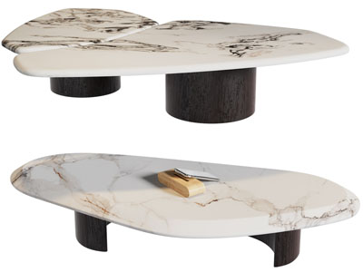 现代异形茶几3d模型 现代异形茶几