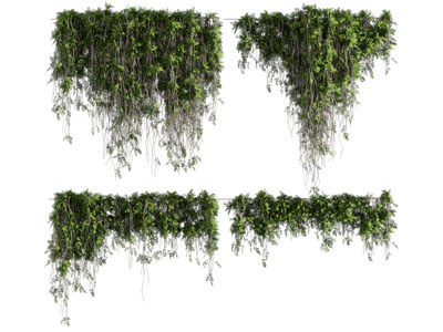 现代藤蔓植物 吊篮绿植3d模型 现代藤蔓植物 吊篮绿植