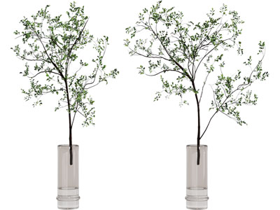 现代玻璃花瓶花卉