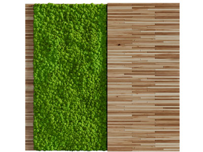 现代植物墙、背景墙