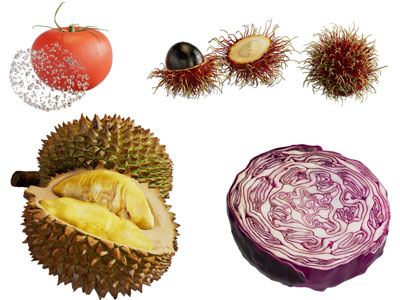 现代榴莲、紫甘蓝、红毛丹蔬菜水果食物