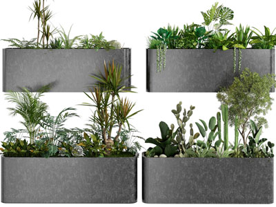 现代户外花坛 花草盆栽绿植