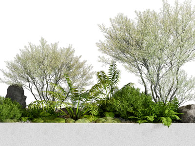 现代树木植物景观园艺小品