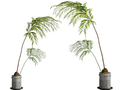 新中式水泥花盆盆栽植物