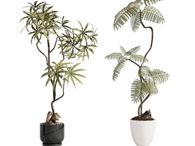 新中式花盆盆景盆栽植物