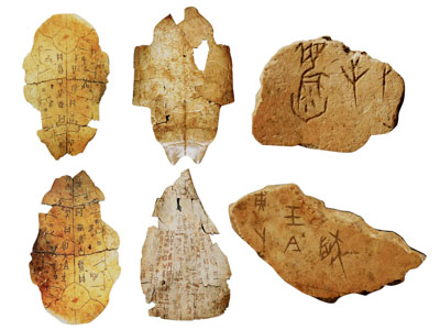新中式甲骨文 化石