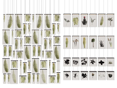 现代树叶植物标本背景墙 文化墙 造墙