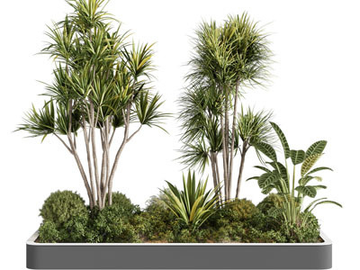 现代户外花坛花草植物景观园艺小品