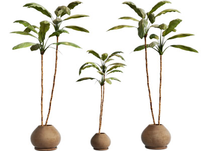 侘寂风花盆盆栽植物