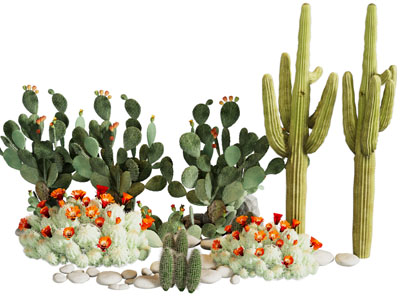 现代仙人掌 仙人山多肉植物景观园艺小品