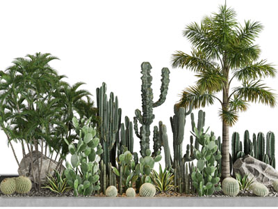 现代仙人掌 多肉 树木景观园艺小品