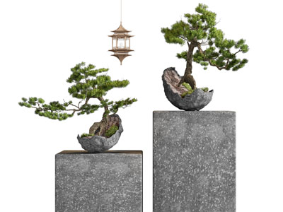 新中式松树盆景盆栽 摆件组合