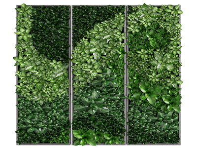 现代植物墙装饰挂画3d模型 现代植物墙装饰挂画