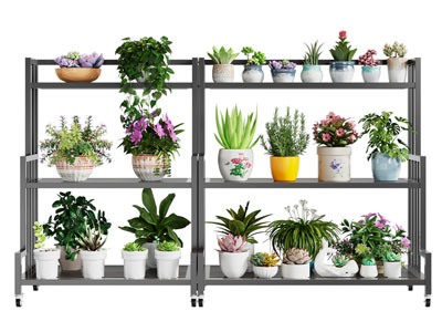 现代花架 花卉 多肉盆景盆栽植物