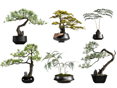 新中式松树盆景盆栽植物 摆件组合