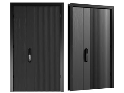 现代子母入户平开门 防盗门