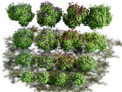 现代花草花卉植物