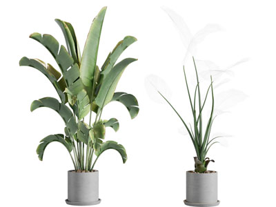 现代水泥花盆盆景盆栽植物