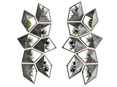 现代植物墙饰挂件