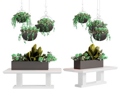 现代花盆盆景盆栽 吊篮绿植
