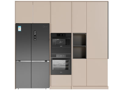 现代嵌入冰箱 烤箱的高柜 橱柜